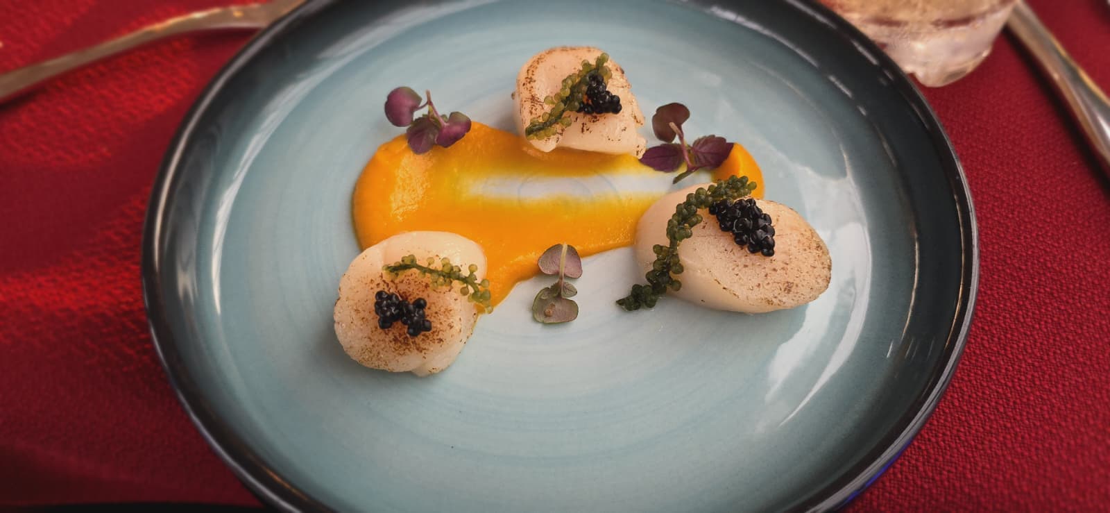 A plated course from the human dinner menu aboard the Royal Albatross