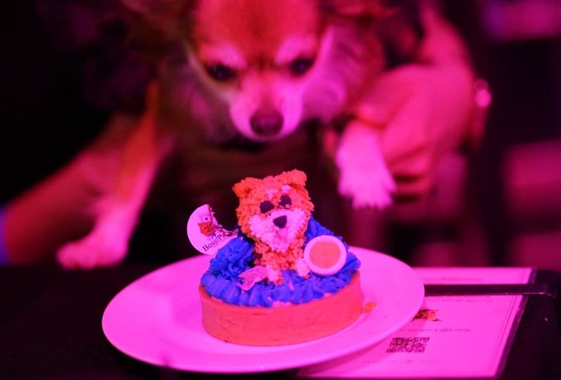 A later course from the multi-course Dog Cruise Singapore dinner