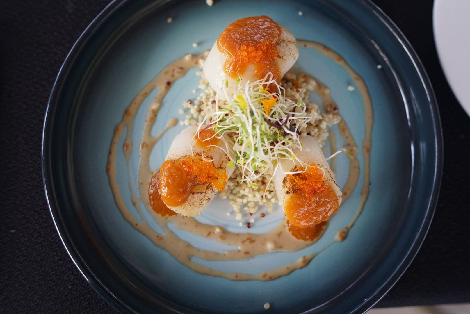 A final dish from the Royal Albatross dog-friendly dinner cruise