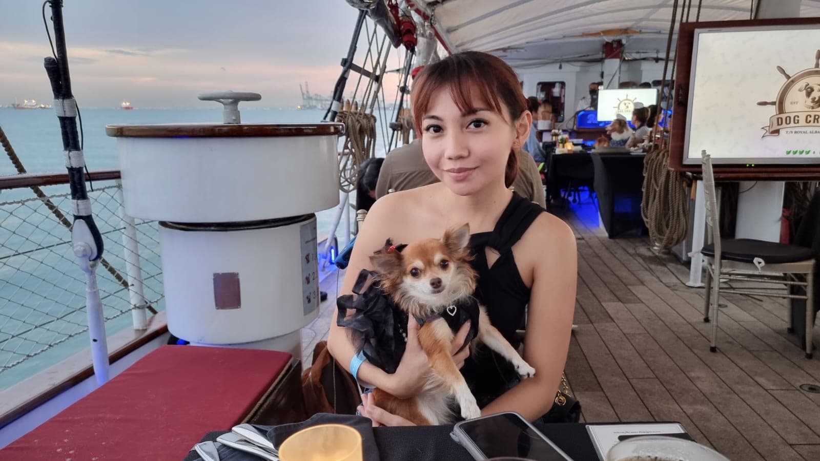 A small dog seated in a baby chair at the table during the cruise