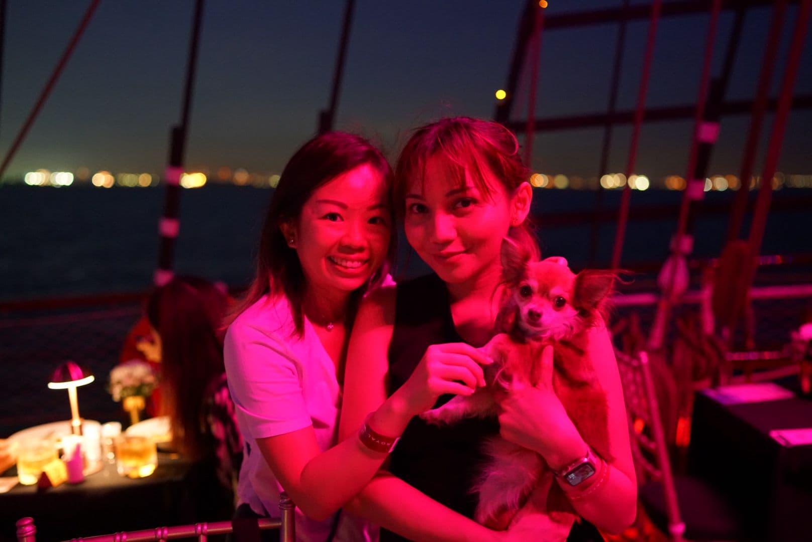 A guest and their dog enjoying the atmosphere on board the Royal Albatross