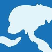 Pets 2 Go | Member of IPATA | Pets Relocation Singapore | Pet Travel Singapore | AVS Transporter & Recognised Agent logo
